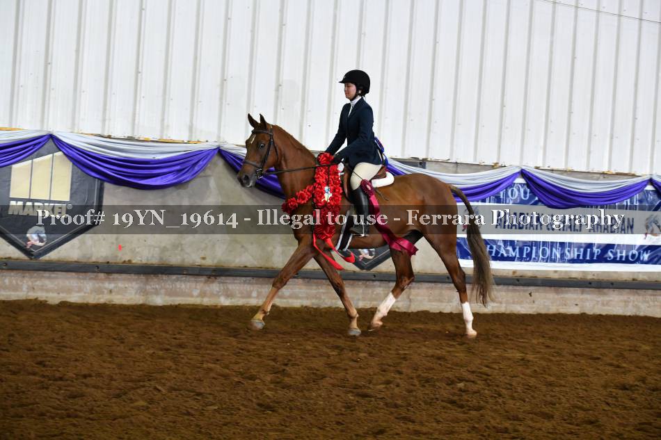 Proof 19YN_19614