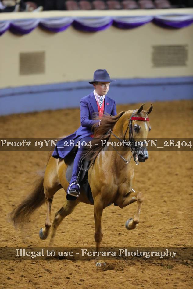 Proof 19YN_28404