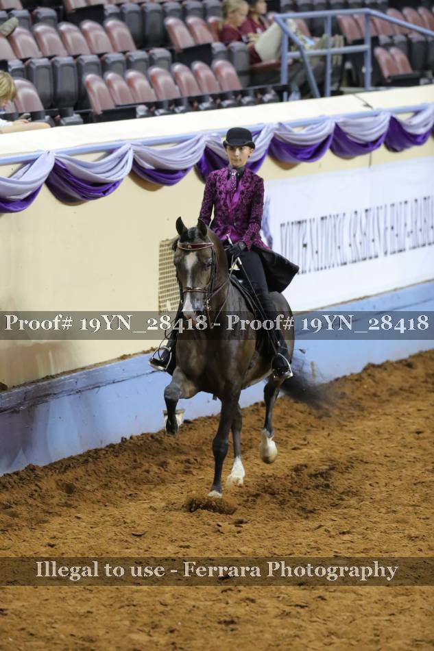 Proof 19YN_28418
