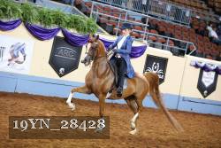 19YN_28428 proof
