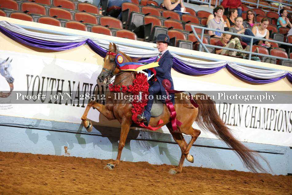 Proof 19YN_28512