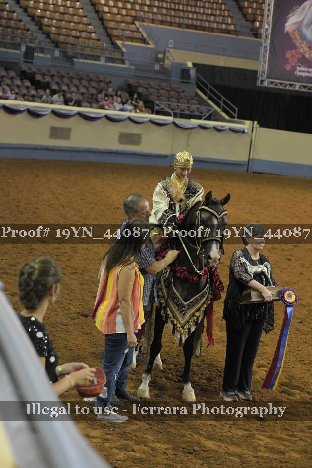 Proof 19YN_44087