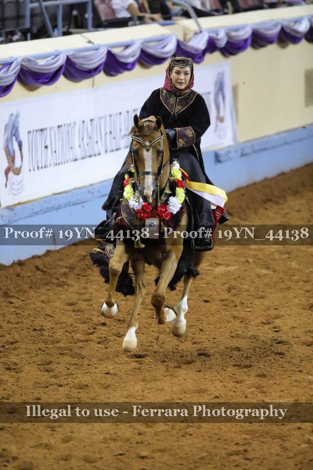 Proof 19YN_44138