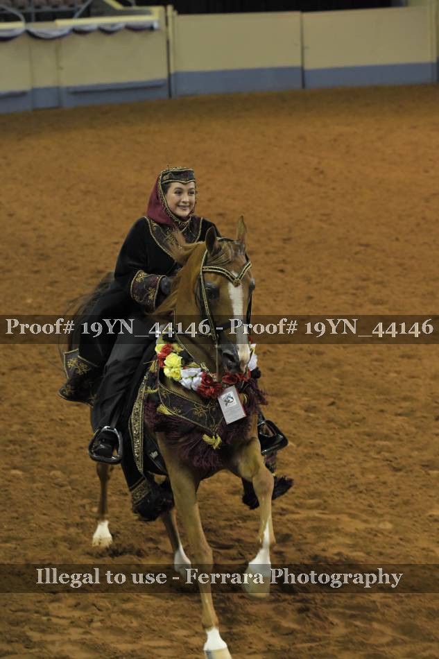 Proof 19YN_44146