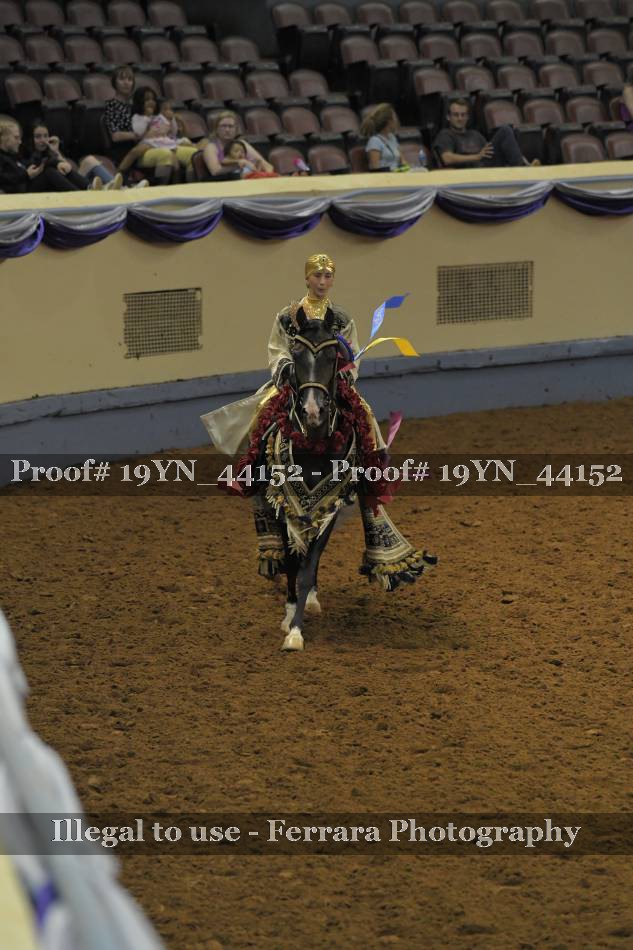 Proof 19YN_44152