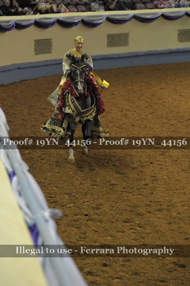 Proof 19YN_44156