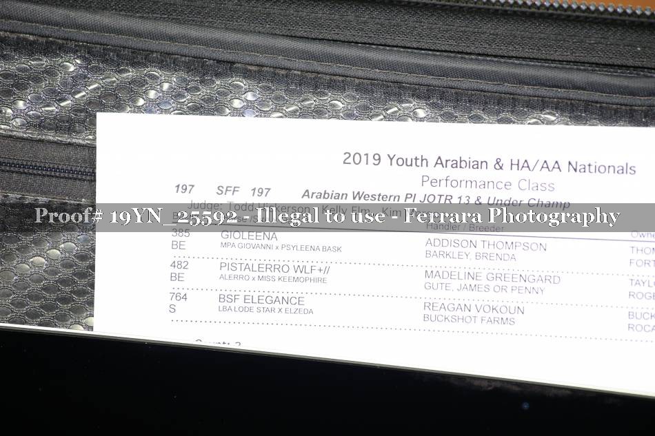 Proof 19YN_25592