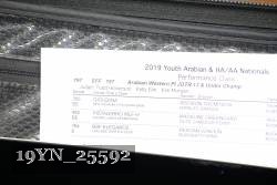 19YN_25592 proof