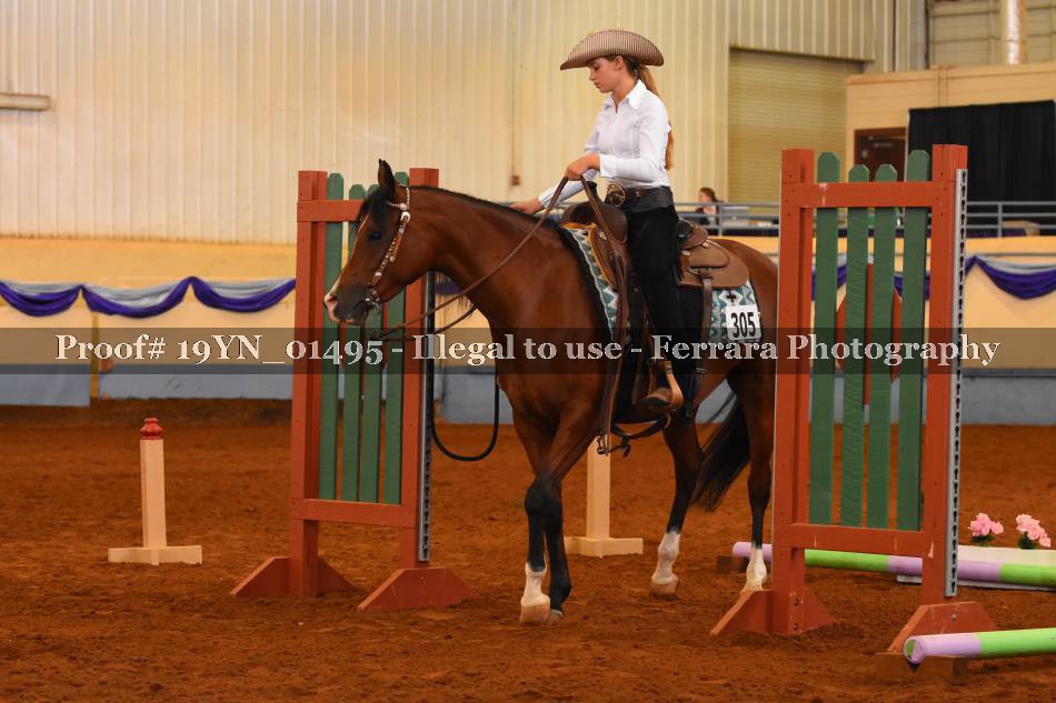 Proof 19YN_01495