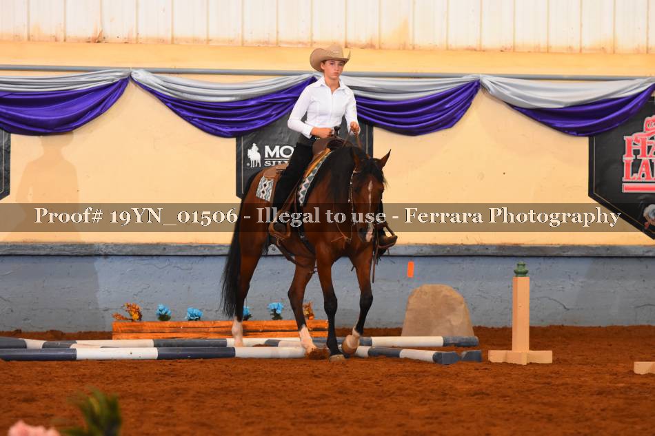 Proof 19YN_01506