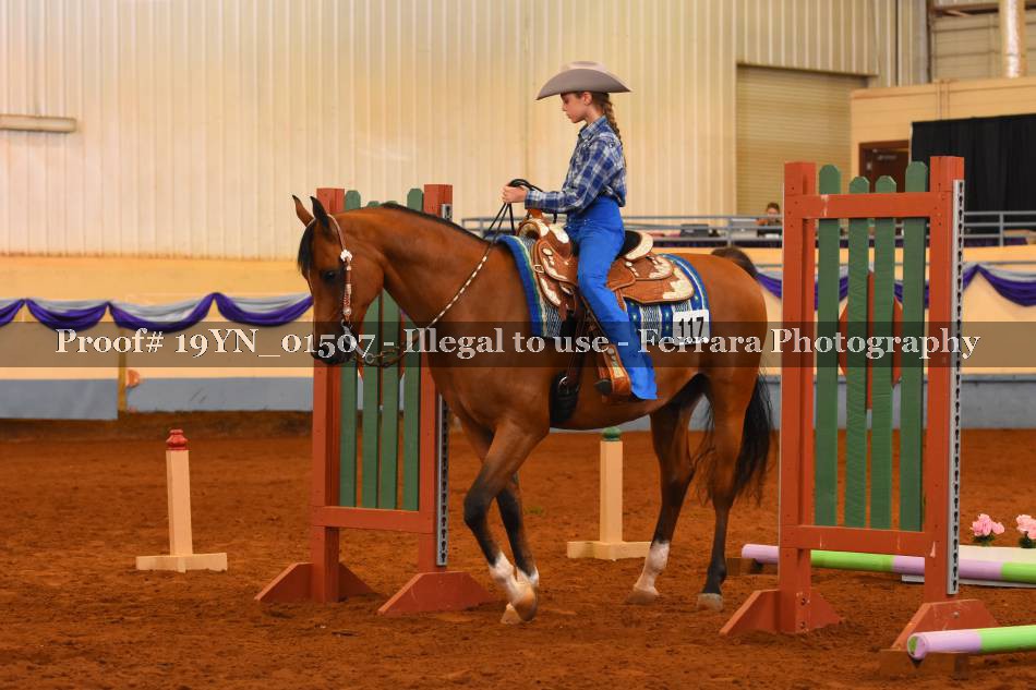 Proof 19YN_01507