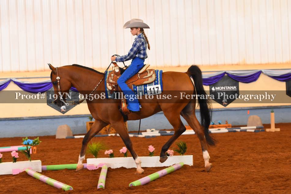 Proof 19YN_01508