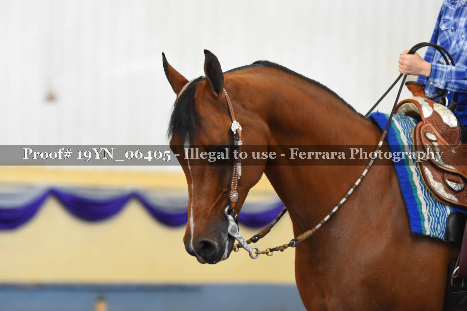 Proof 19YN_06405