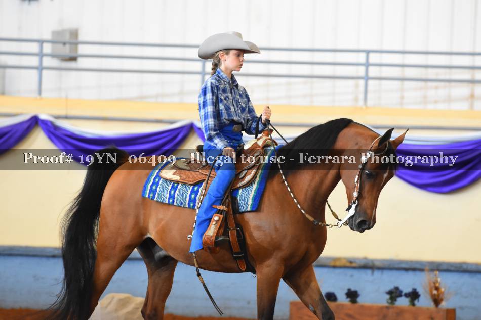 Proof 19YN_06409