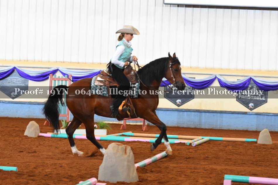 Proof 19YN_06416