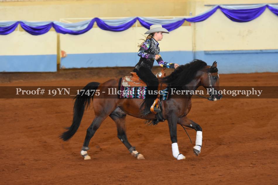 Proof 19YN_17475