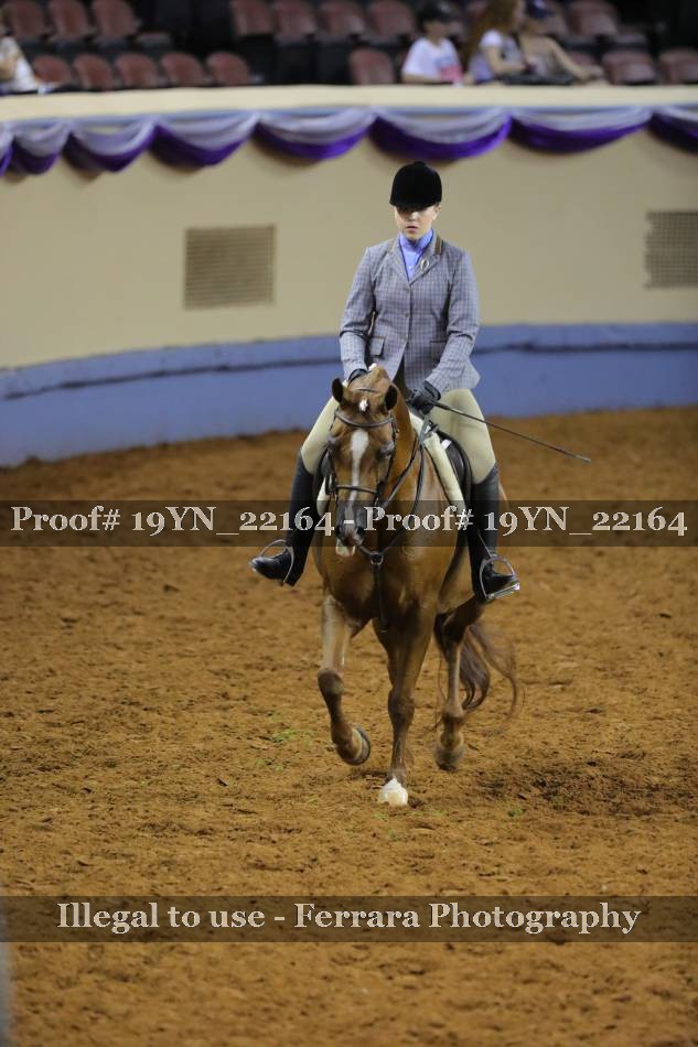 Proof 19YN_22164