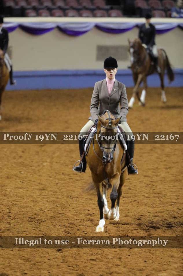 Proof 19YN_22167