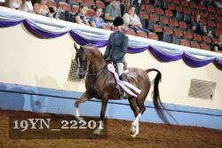 19YN_22201 proof