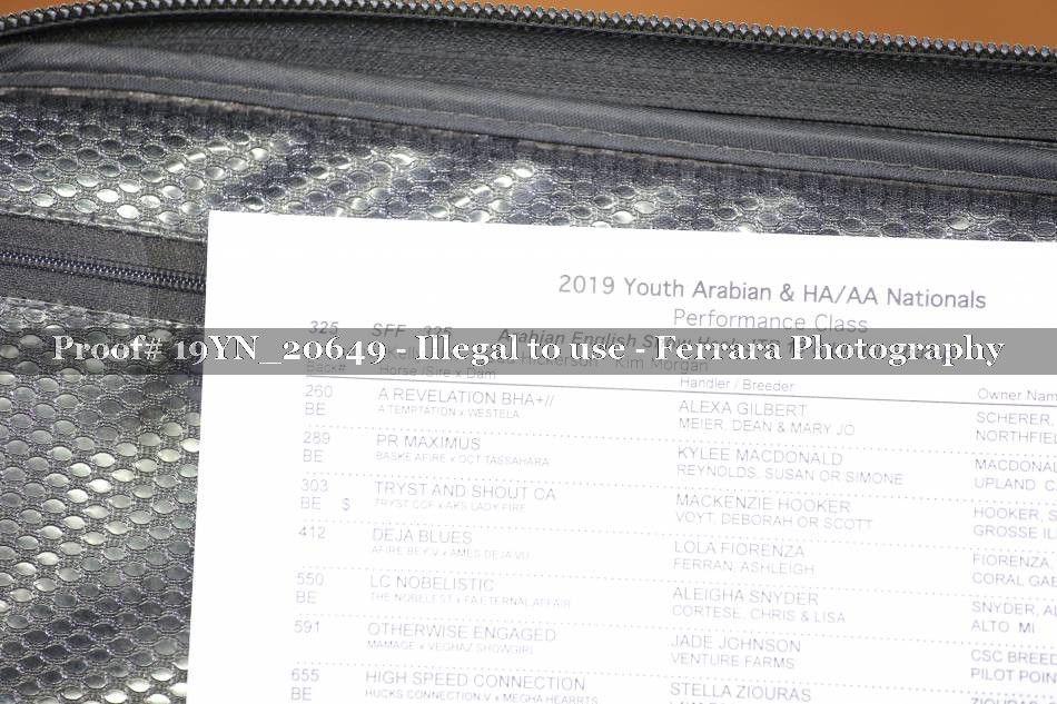 Proof 19YN_20649