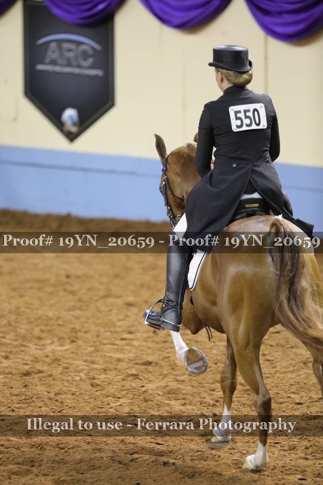 Proof 19YN_20659