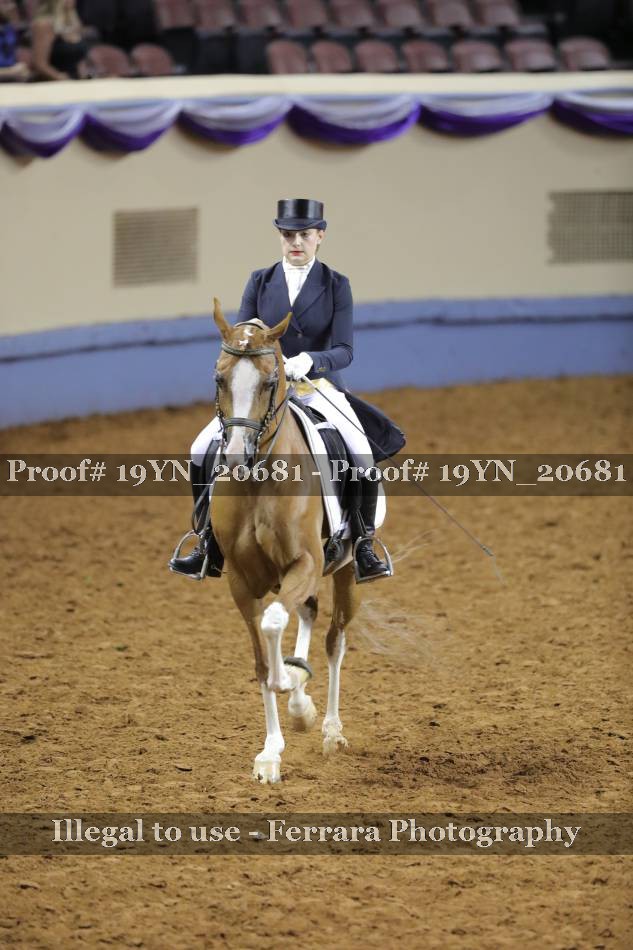 Proof 19YN_20681
