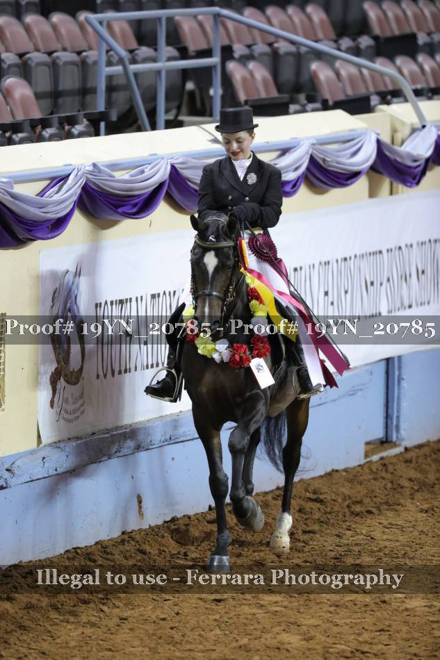 Proof 19YN_20785