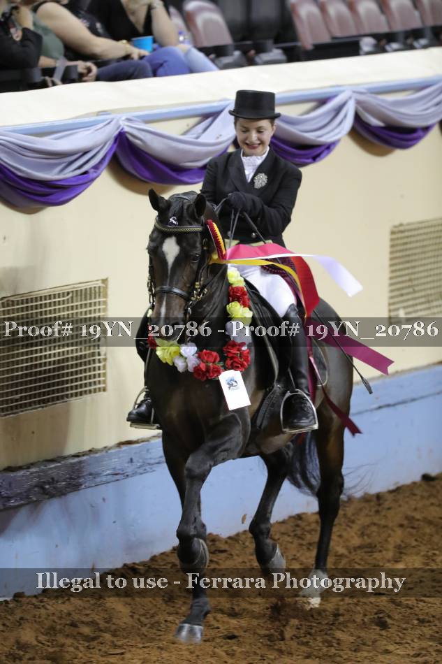 Proof 19YN_20786