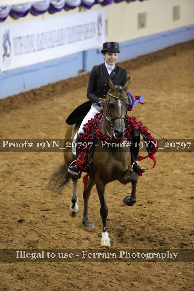 Proof 19YN_20797