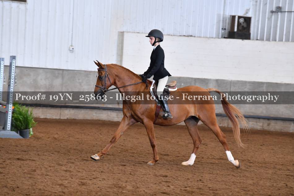 Proof 19YN_25863