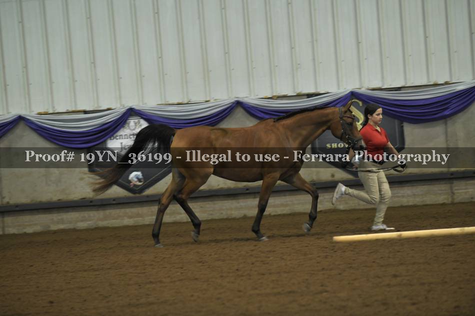 Proof 19YN_36199