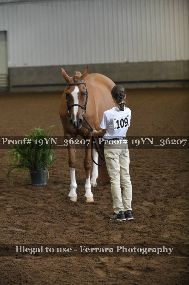 Proof 19YN_36207