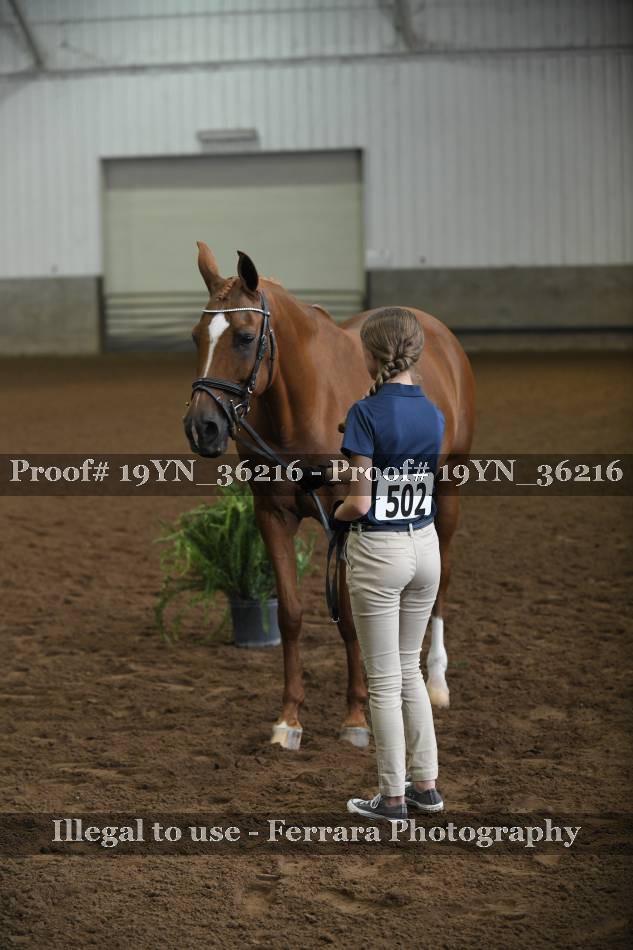 Proof 19YN_36216