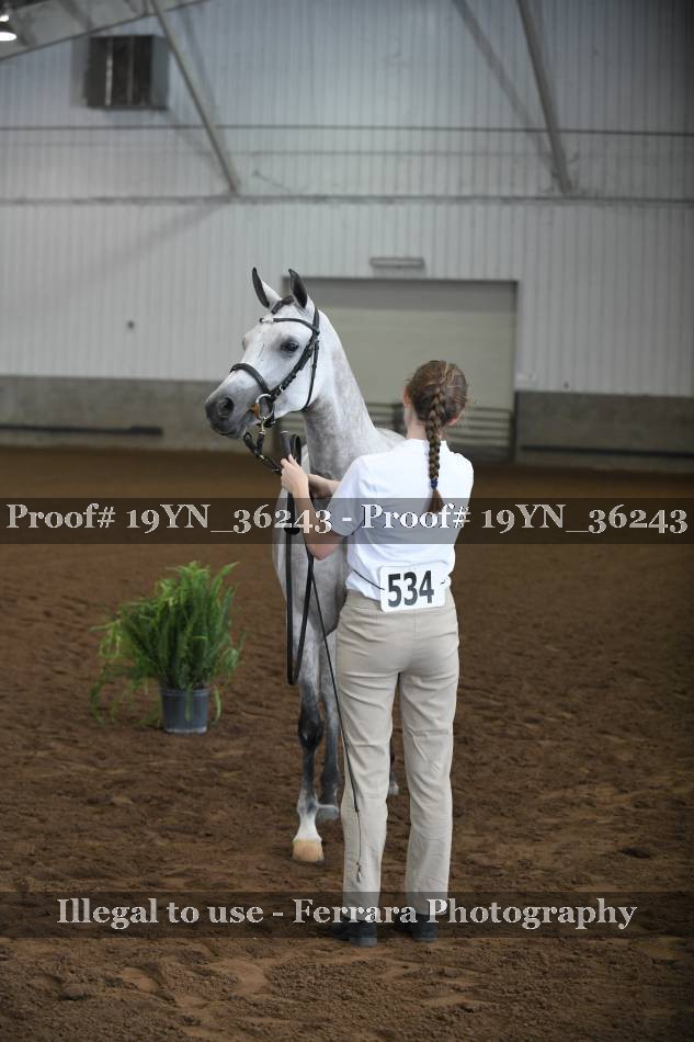 Proof 19YN_36243