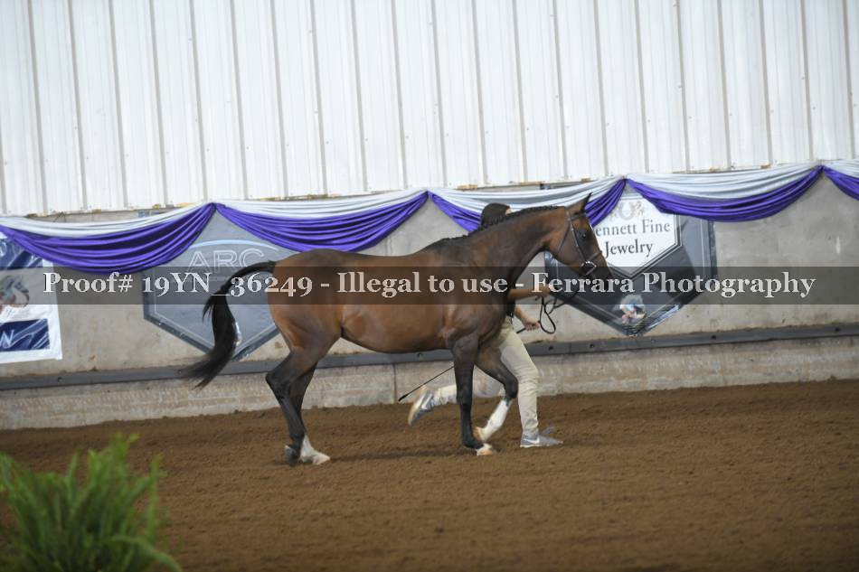 Proof 19YN_36249