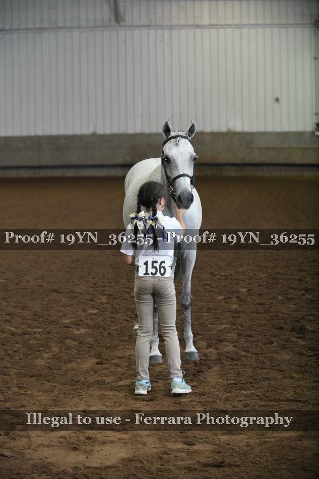 Proof 19YN_36255