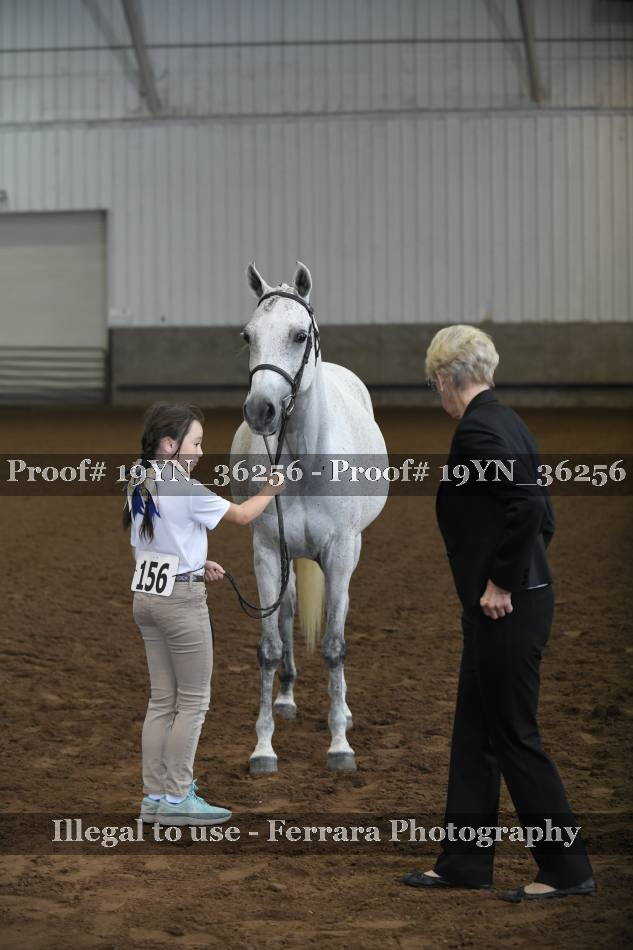 Proof 19YN_36256