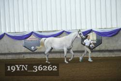 19YN_36262 proof