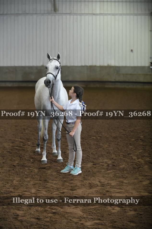 Proof 19YN_36268