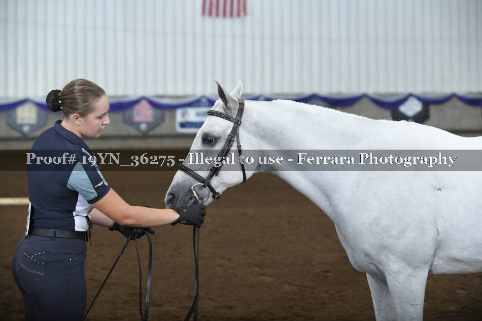 Proof 19YN_36275