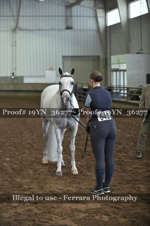 Proof 19YN_36277