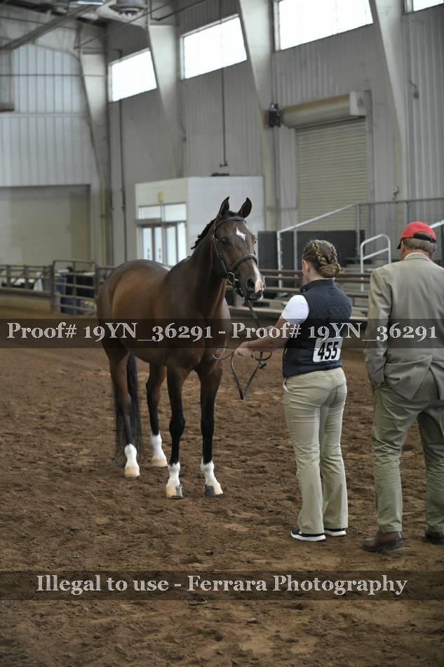 Proof 19YN_36291