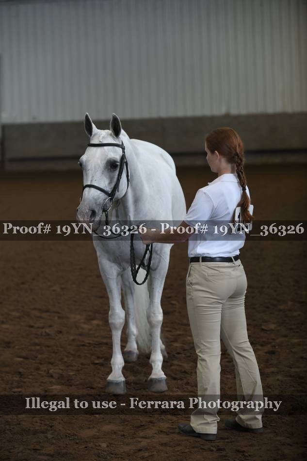 Proof 19YN_36326