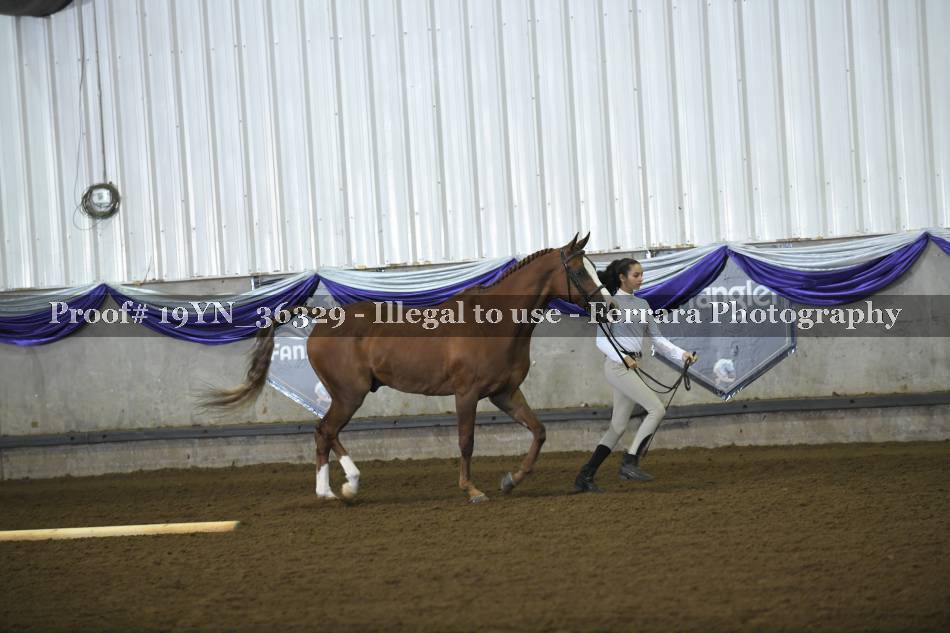 Proof 19YN_36329
