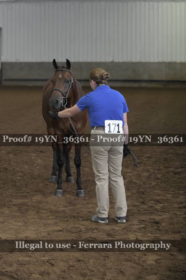 Proof 19YN_36361