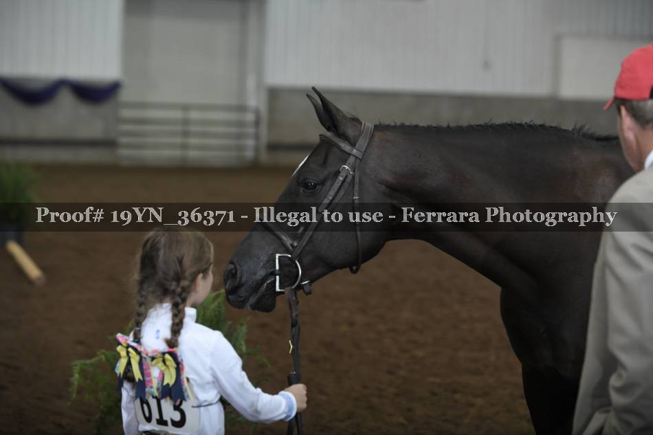 Proof 19YN_36371