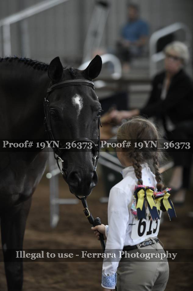 Proof 19YN_36373