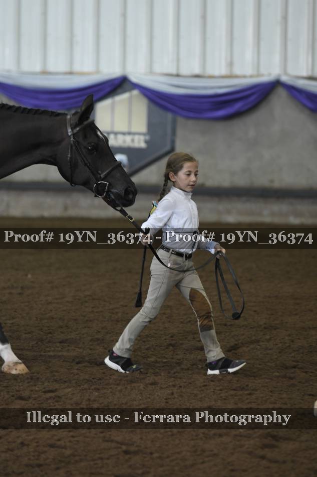 Proof 19YN_36374