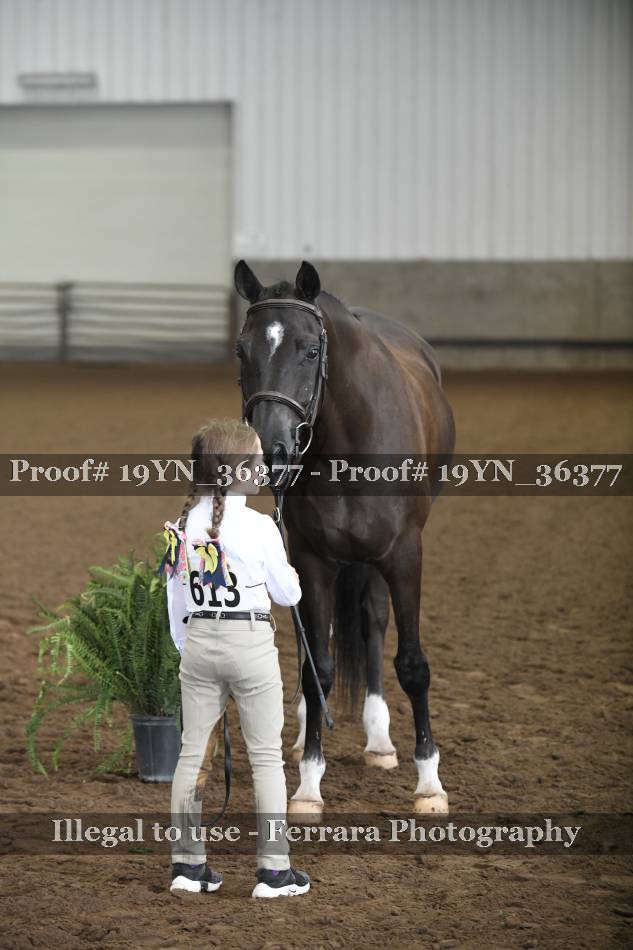 Proof 19YN_36377
