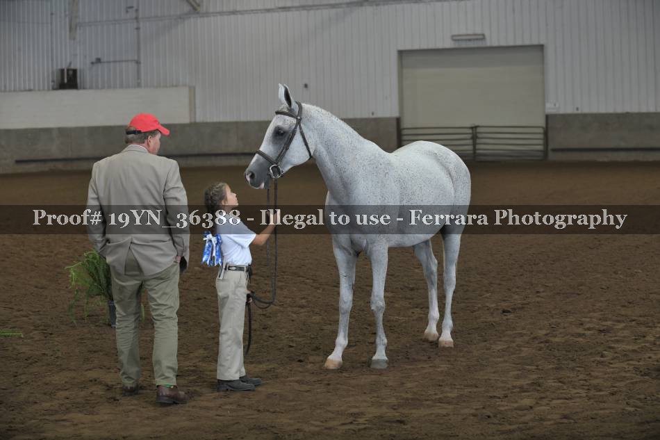 Proof 19YN_36388